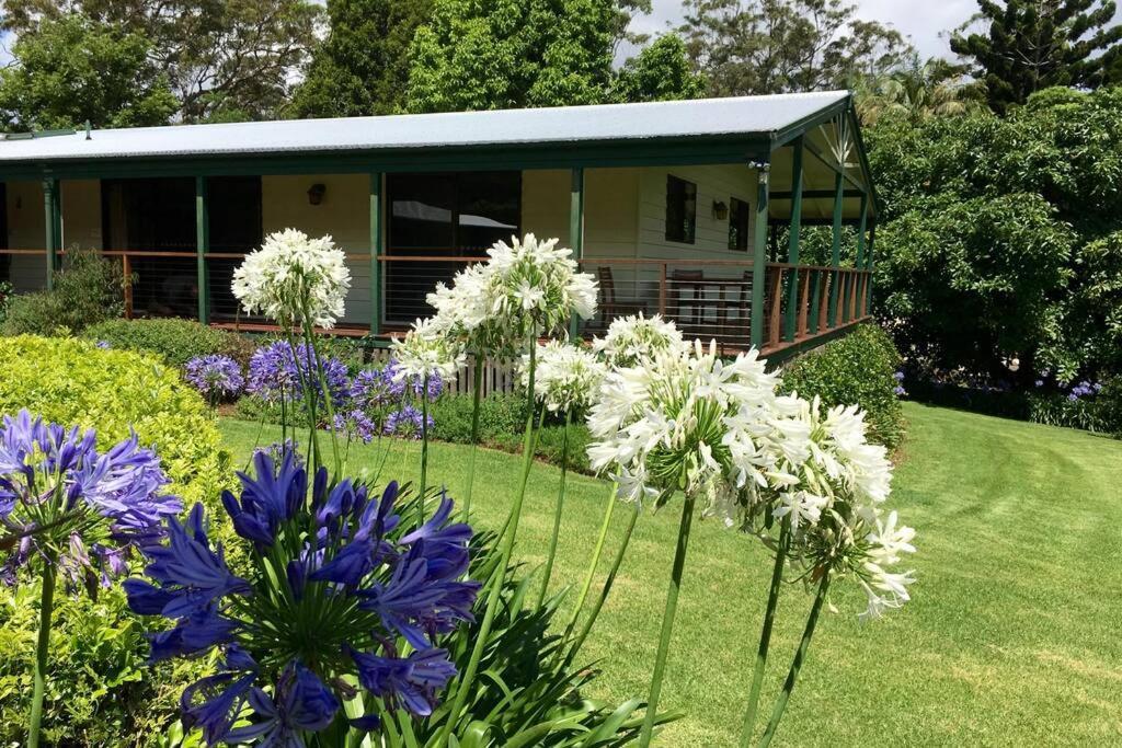 Apartmán Bundara - Idyllic Getaway In The Mountains Mount Tamborine Exteriér fotografie