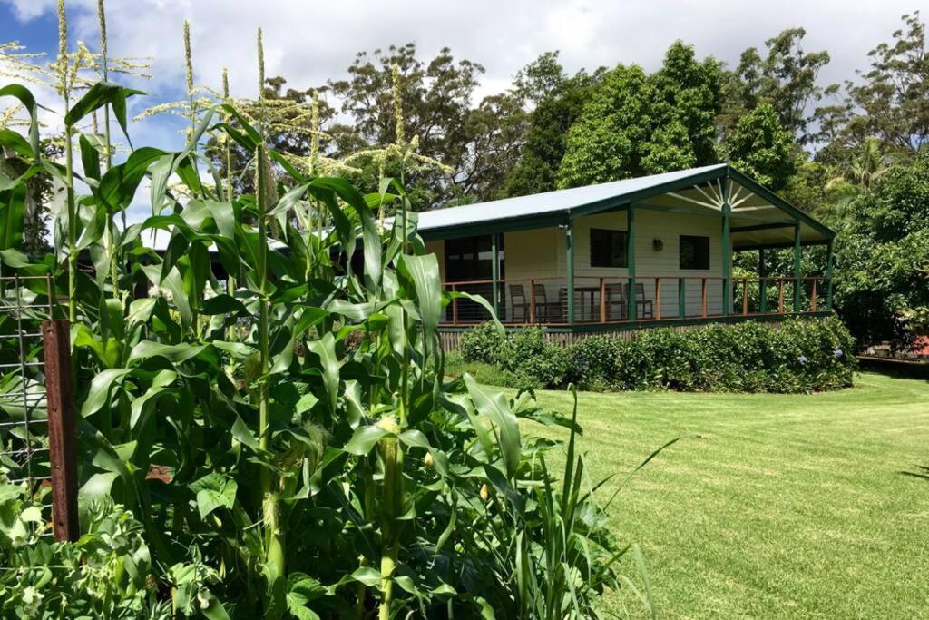 Apartmán Bundara - Idyllic Getaway In The Mountains Mount Tamborine Exteriér fotografie